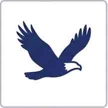 Eagle County Vail hidden device inspection Colorado