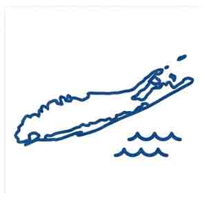 Long Island hidden device inspection coverage