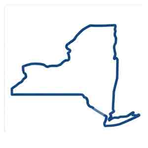 Statewide New York hidden device inspection